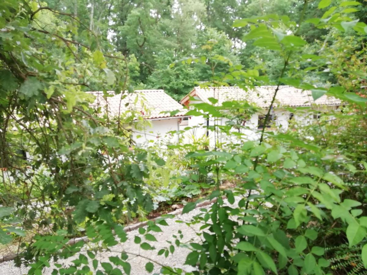 Pause Nature. Maison Ananda A 14 Kms De Toulouse Avec Parking Privatif Ferienhaus *